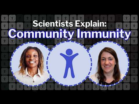 Why Outbreaks Still Happen: Simulating Community Immunity in Real Time