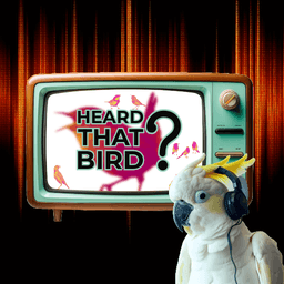 Heard that Bird? tile